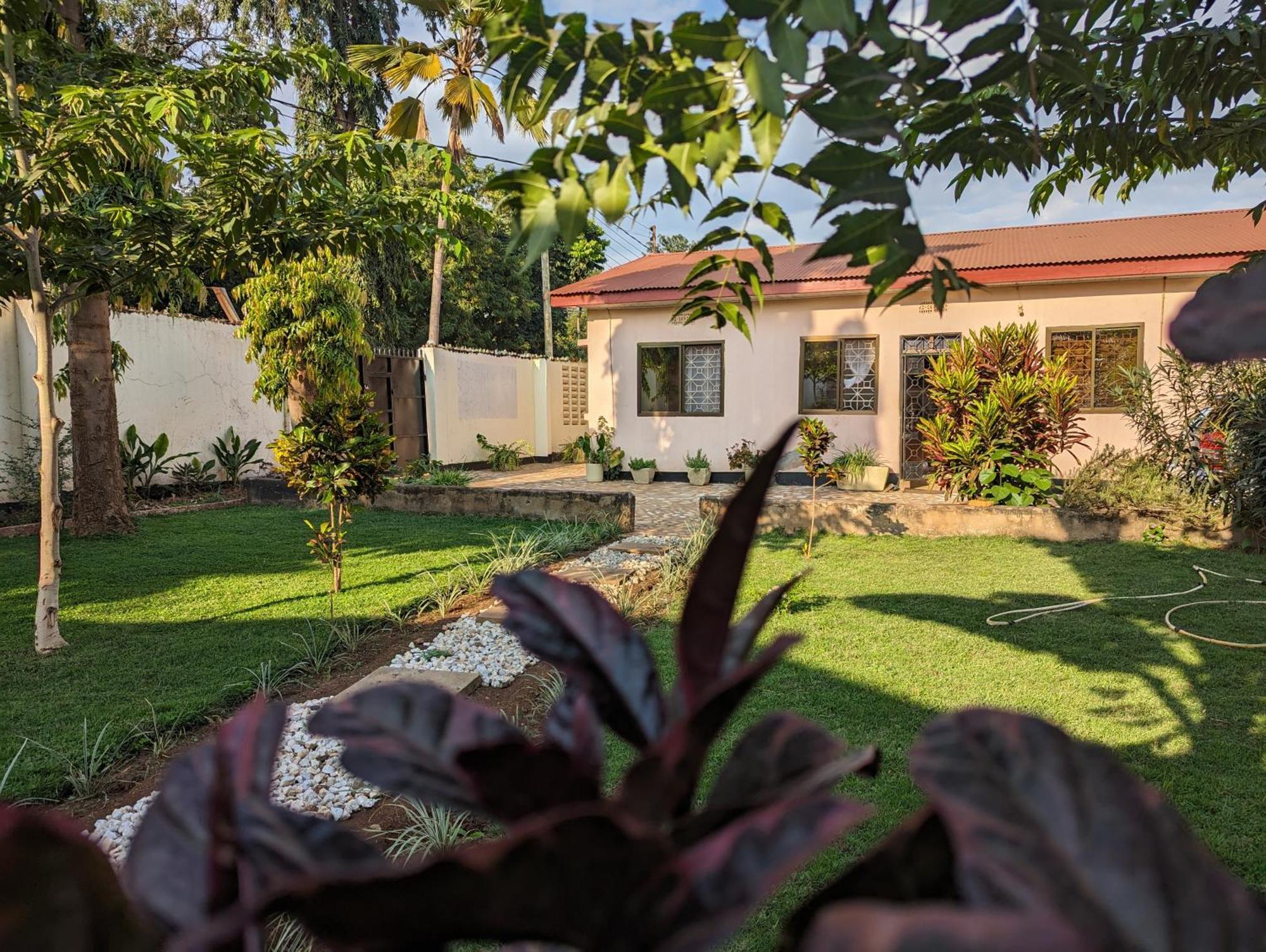 The Lion King Homestay モシ エクステリア 写真